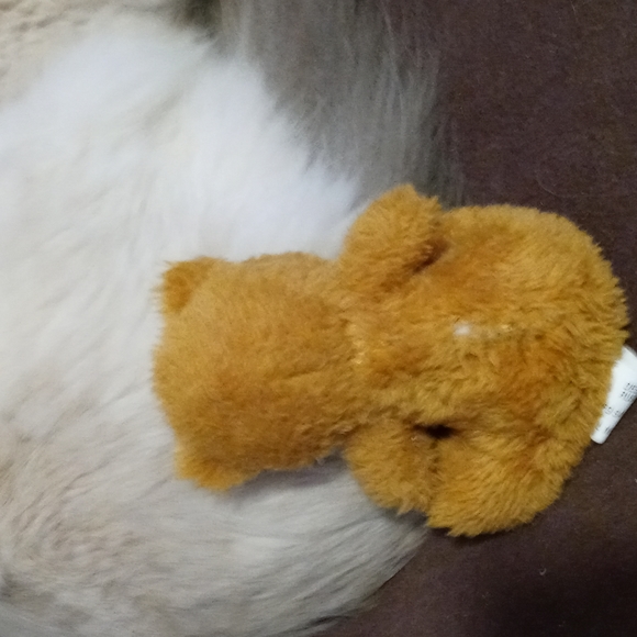 AVAILABLE - Russell Stove Small Teddy Bear 5" Tall - Picture 2 of 5